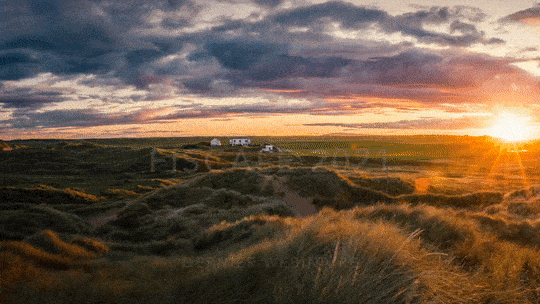 ezgif.com-optimize-4